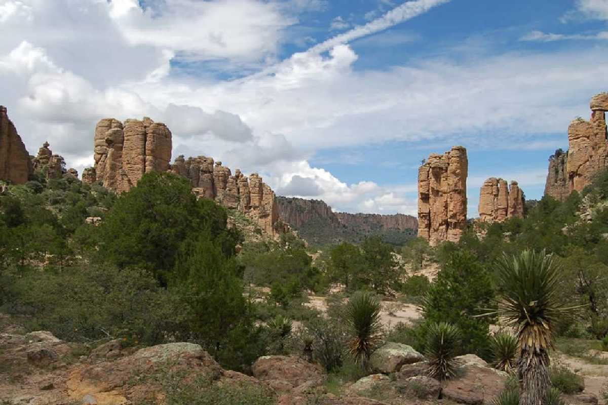 Sierra de órganos