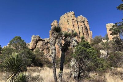 Damos un recorrido por el Parque Sierra de Órganos