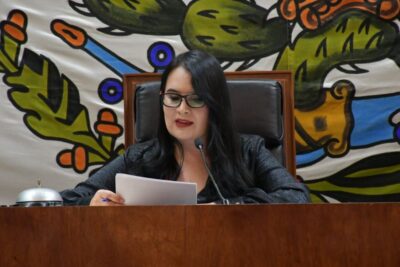 Diputados de oposición critican acciones de Reyes Mugüerza