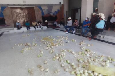 Productores del campo toman el Congreso estatal y arrojan cebollazos a la cámara