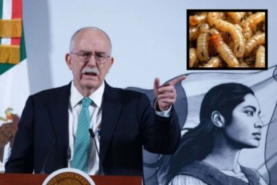 Plaga de gusano barrenador se le fue de control a EU: secretario de Agricultura