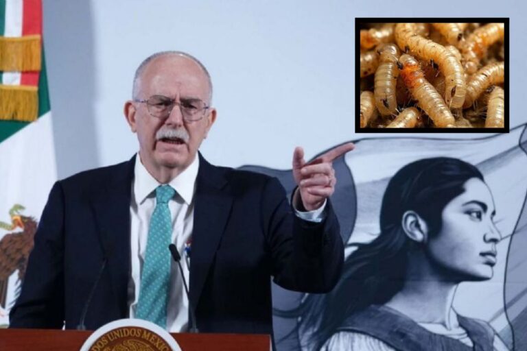 Plaga de gusano barrenador se le fue de control a EU: secretario de Agricultura