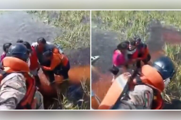 Se desploma avioneta en un pantano con caimanes en Bolivia