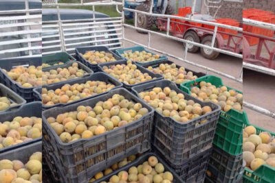 El DIF de Jerez invita a aprender sobre Jugo Terapia para mejorar la salud