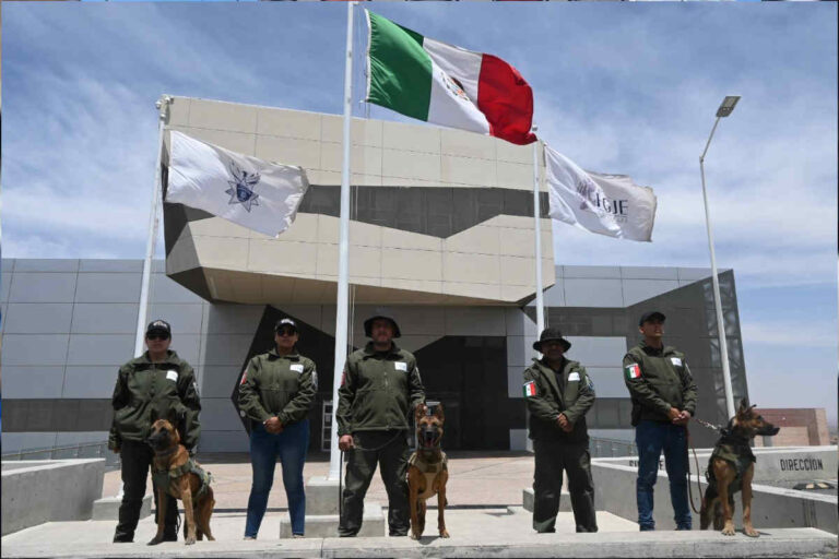 Refuerzan a la Policía de Investigación con binomios caninos especializados