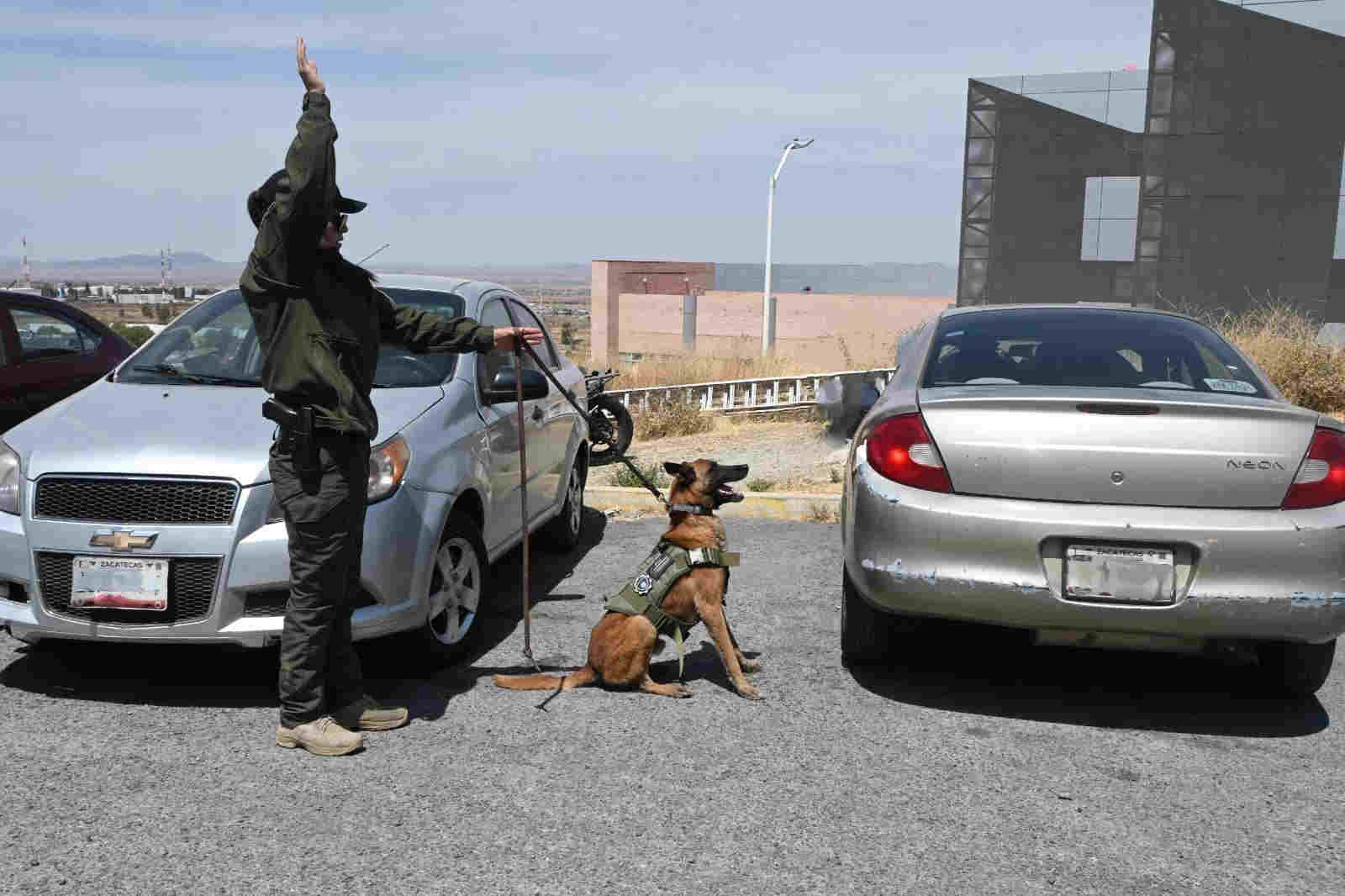 Refuerzan a la Policía de Investigación con binomios caninos especializados