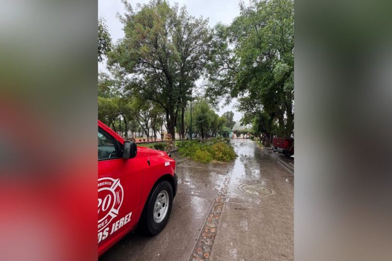 Tormentas azotan a Jerez y dejan daños materiales