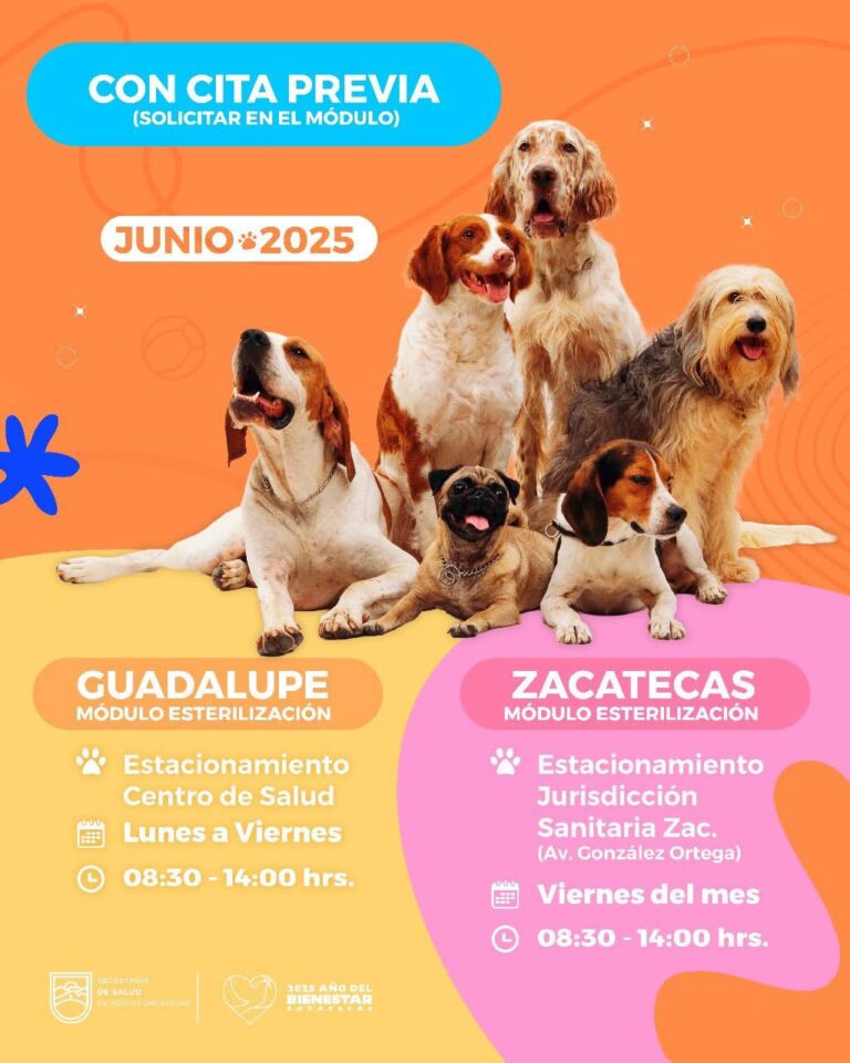 Inicia jornada gratuita de esterilización canina y felina en Zacatecas y Guadalupe