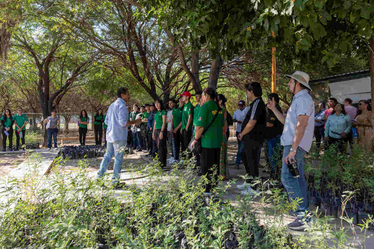 Peñoles impulsa la reforestación en La Laguna y el país