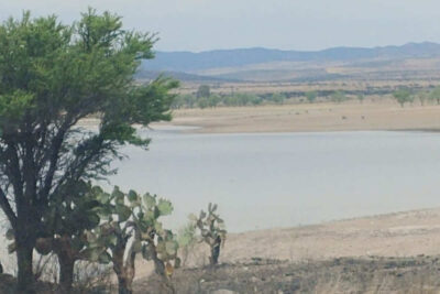 Alertan por posibles tormentas y fuerte ola de calor en Jerez