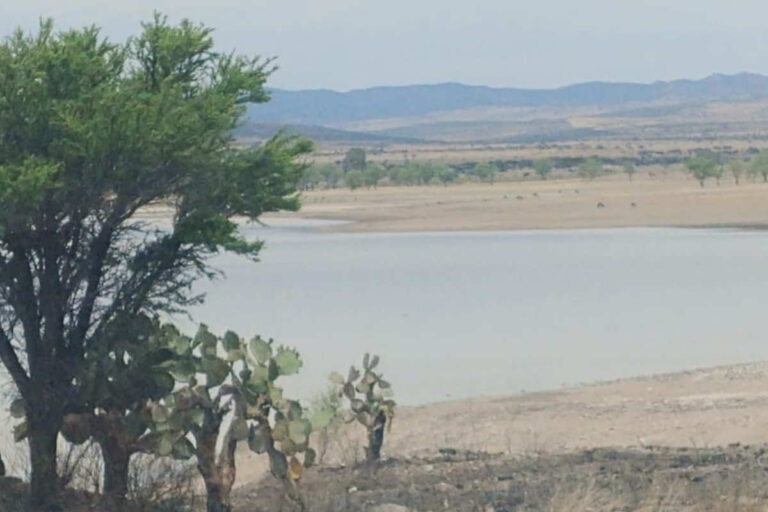 Alertan por posibles tormentas y fuerte ola de calor en Jerez