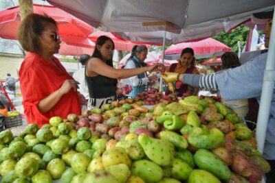 Guadalupe impulsa economía local y tradiciones con el Primer Festival de la Tuna