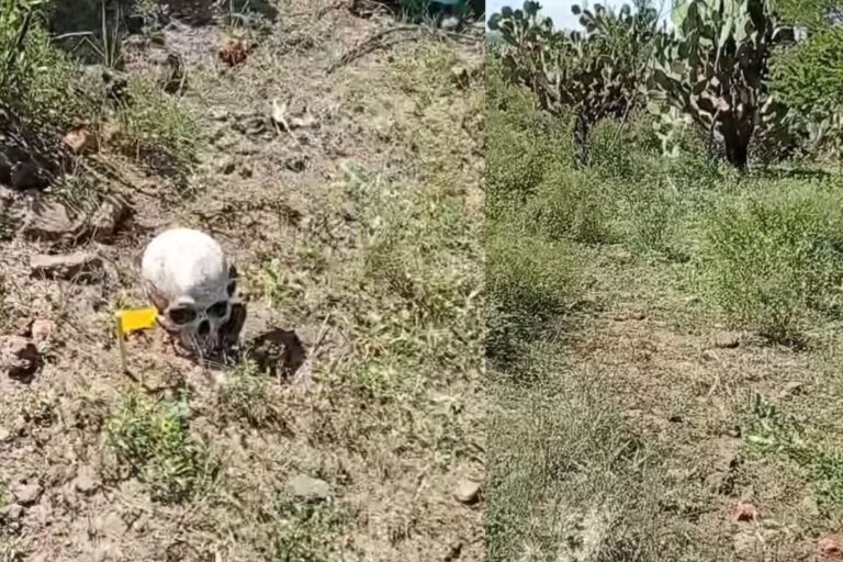 Madres Buscadoras del grupo Escarabajos encuentran hallazgos en El Mineral