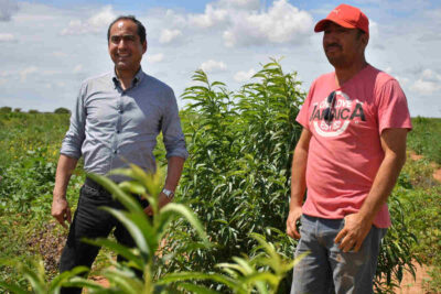 Campo de Guadalupe, Zacatecas aporta a la autosuficiencia alimentaria de México