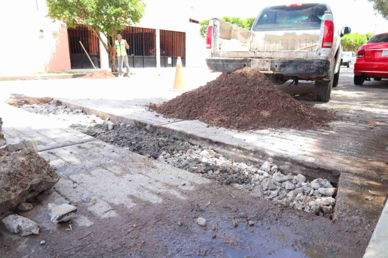 Comienza en Jerez la segunda etapa de construcción de reductores de velocidad