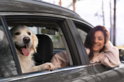 Cómo viajar con tu mascota en auto de manera segura
