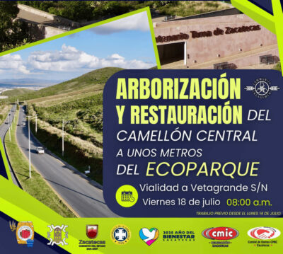 Grupo Modelo impulsa jornada de arborización y restauración en vialidad a Vetagrande