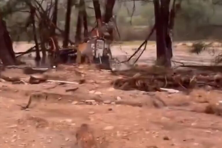 Las inundaciones repentinas en Texas reportan 32 muertos y 27 niñas desaparecidas