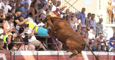 Toro salta a las gradas en un festejo taurino en España