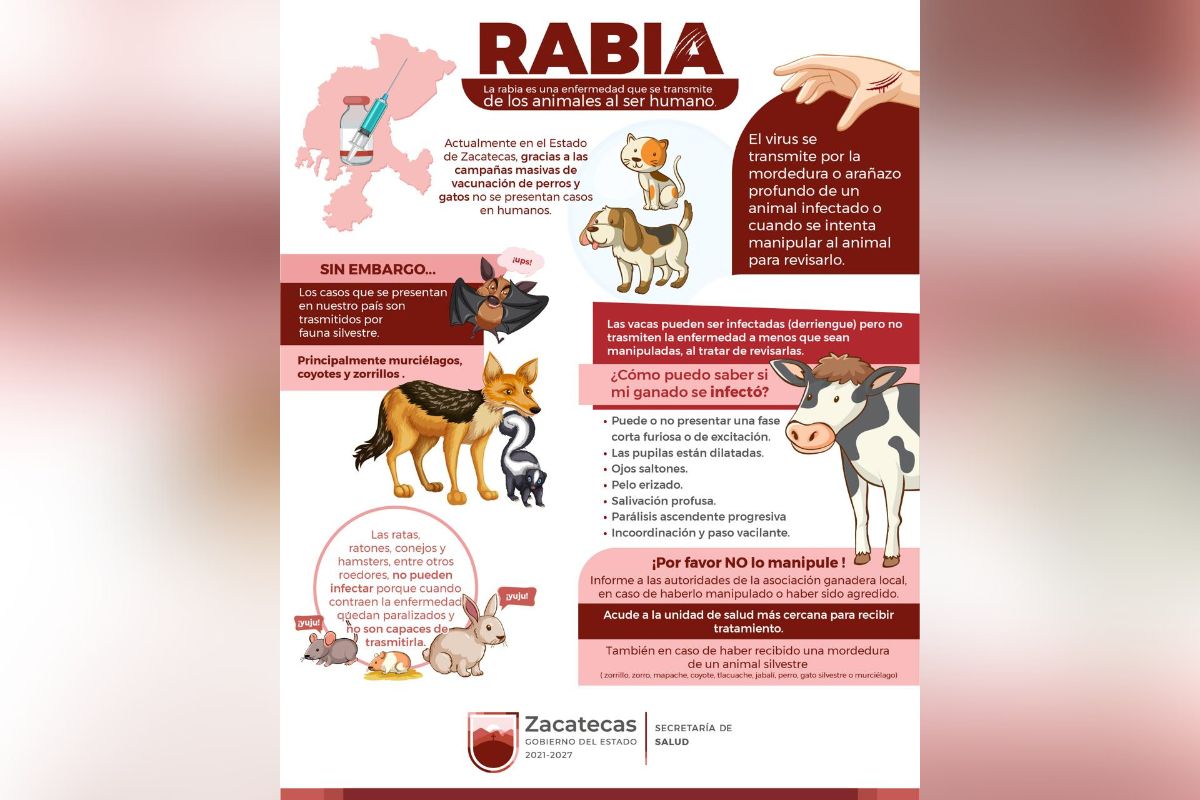 Confirma SSZ caso de rabia humana en Zacatecas.