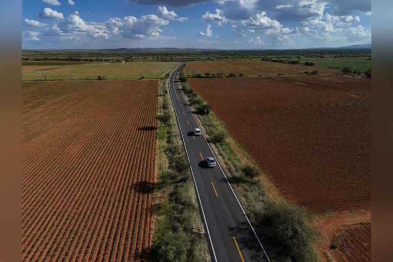 Rehabilitando las carreteras de las comunidades, se brinda seguridad y economía a Guadalupe
