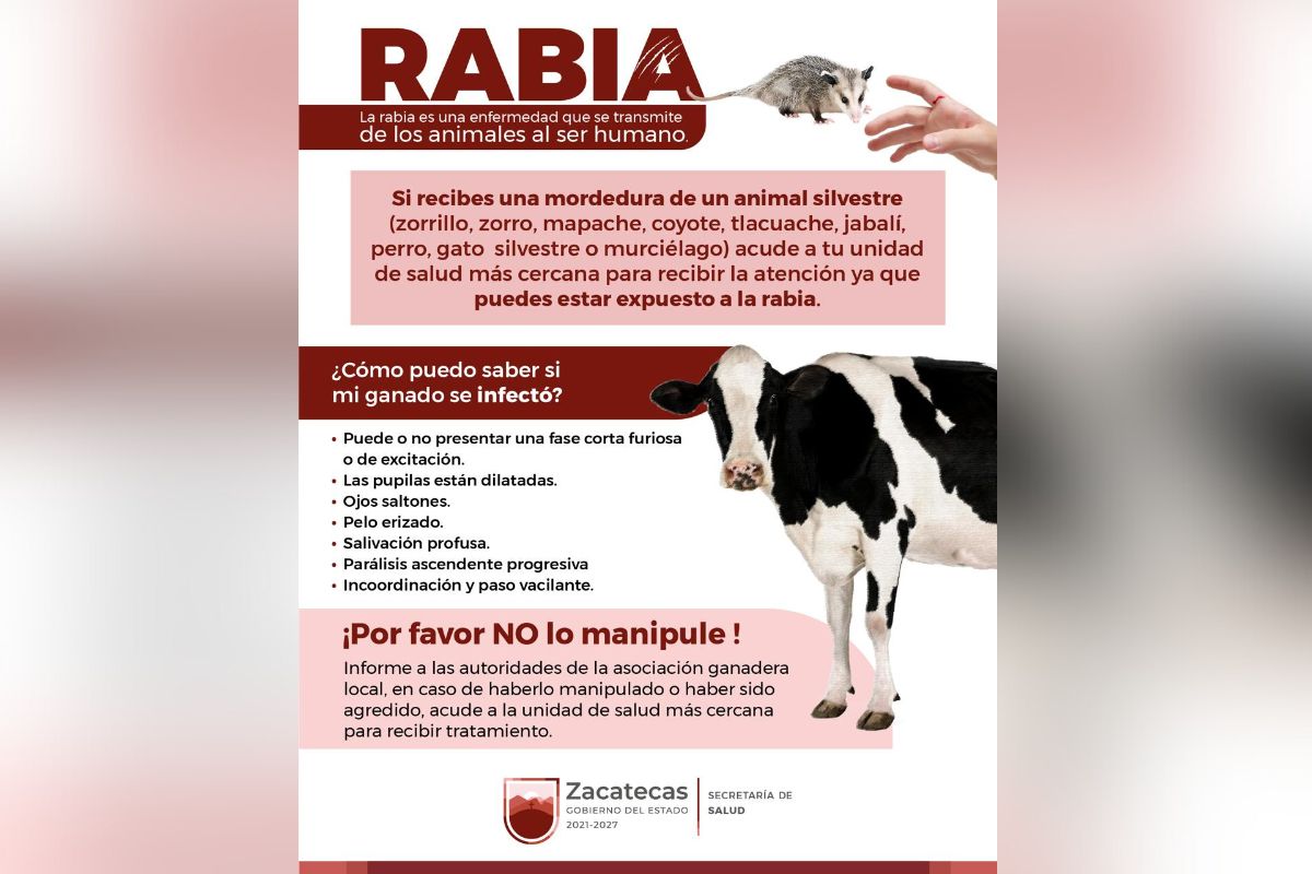 Confirma SSZ caso de rabia humana en Zacatecas.