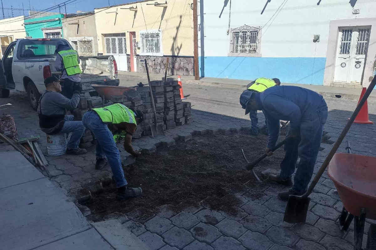 Ayuntamiento de Jerez continúa con la campaña intensiva de bacheo