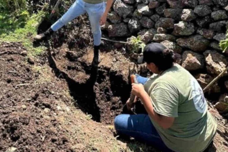 Restos encontrados Valparaíso son de dos individuos: FGJEZ