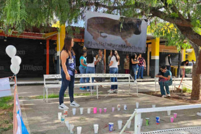 Piden justicia por la perrita “Manchas” asesinada en el mercado de Fresnillo