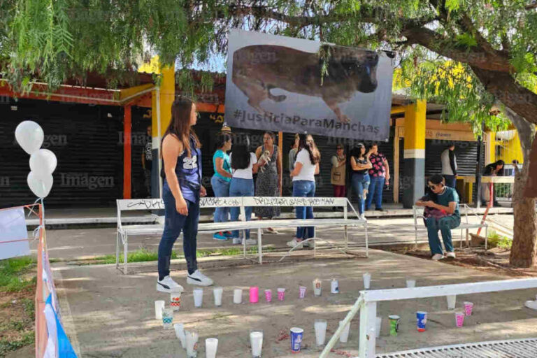 Piden justicia por la perrita “Manchas” asesinada en el mercado de Fresnillo
