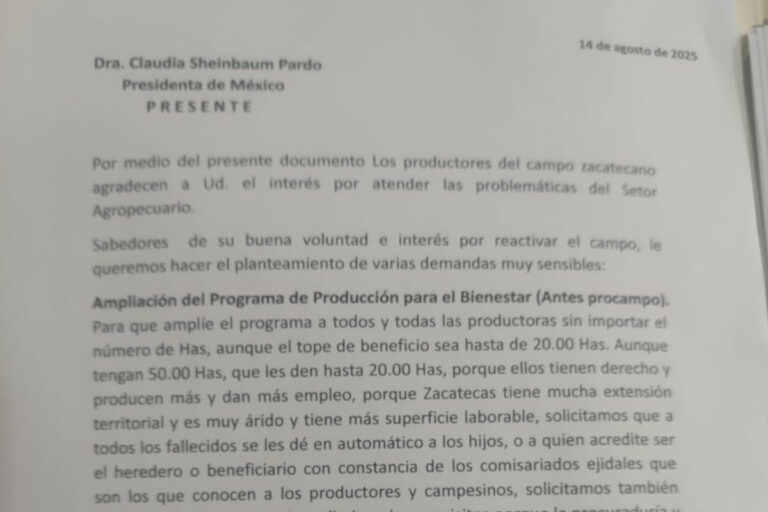 Productores de frijol en Zacatecas piden apoyo federal