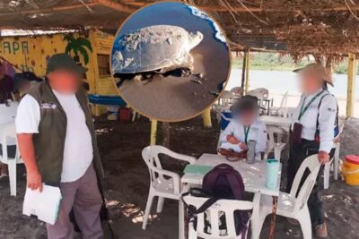 Profepa realiza operativo de vigilancia para proteger a la tortuga marina