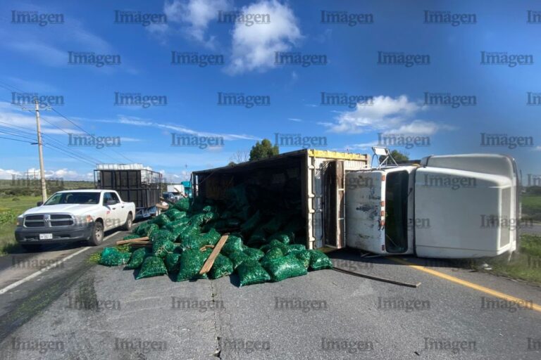 Camión de chile sufre volcadura en la Carretera Federal 45