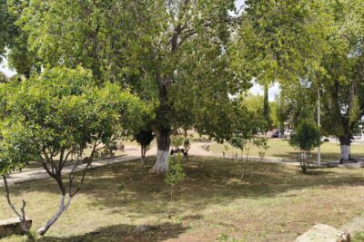 Gobierno de Fresnillo atiende denuncias de ciudadanos respecto a parques y jardines