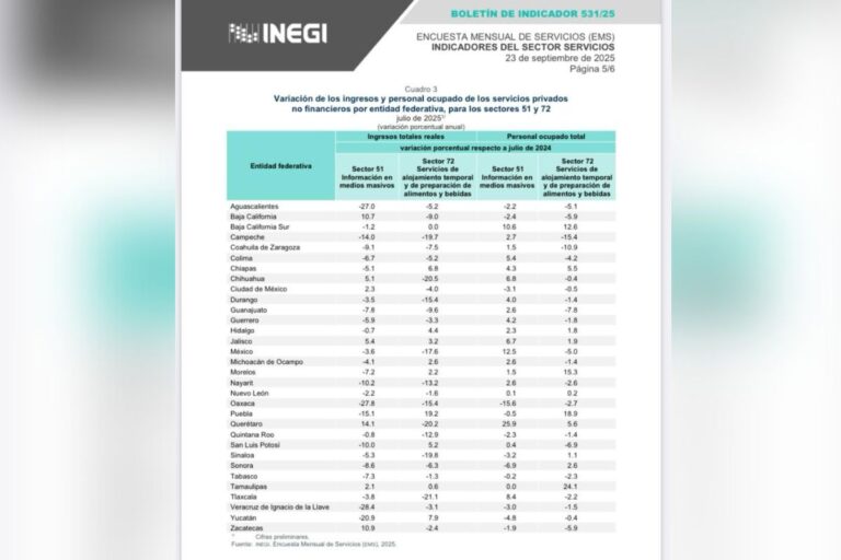 Ingresos por servicios caen y turismo se debilita: INEGI