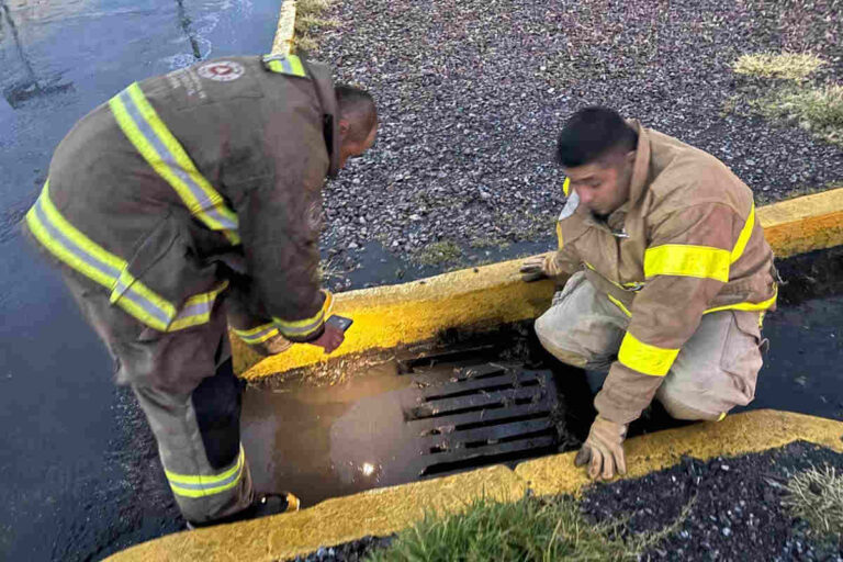 Atiende Fuerza de Tarea Genaro Codina emergencias por lluvias en municipios