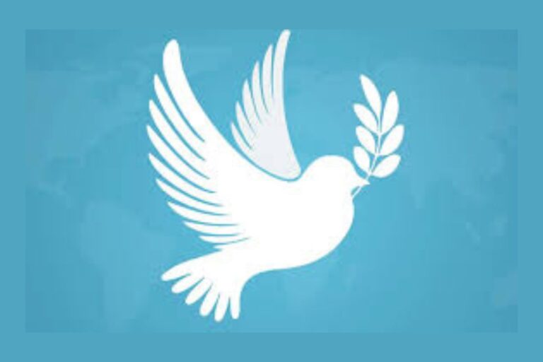 Día Internacional de la Paz: una conmemoración que sigue siendo una deuda global
