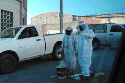 Abejas atacan a vecinos de la colonia Mecánicos; cuatro fueron trasladados al IMSS