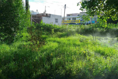 Solicitan a Parques y Jardines que mejore el parque de la Lagunilla en Fresnillo