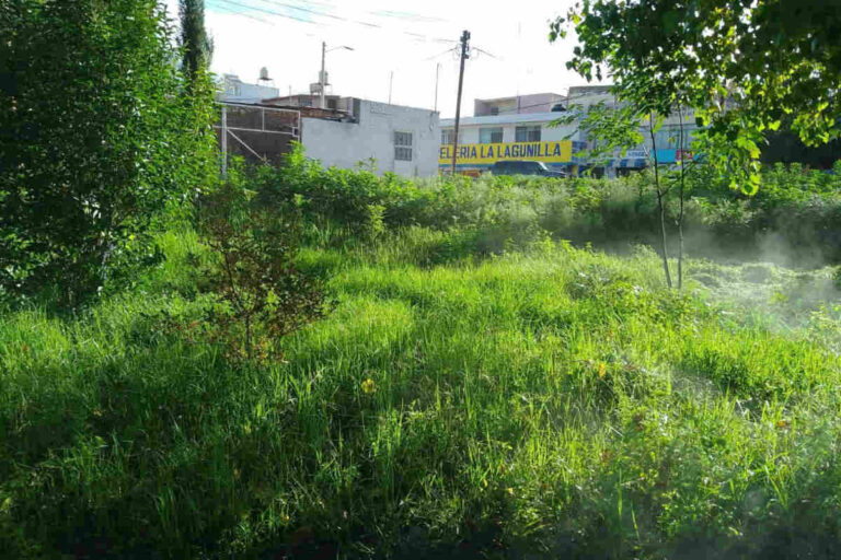 Solicitan a Parques y Jardines que mejore el parque de la Lagunilla en Fresnillo