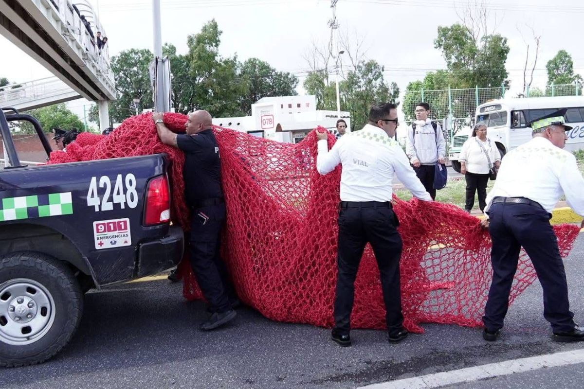 Retiran tejidos del colectivo Sangre de mi Sangre. 