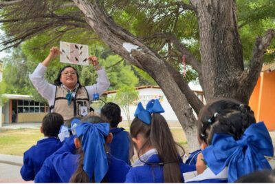 Orla Camino Rojo conmemora el Día Mundial de las Aves Migratorias con actividades educativas y de observación en San Tiburcio