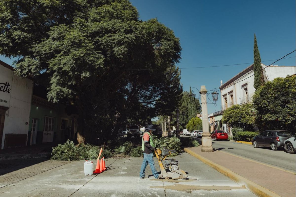 Rehabilitación integral de la entrada al Centro Histórico de Guadalupe.