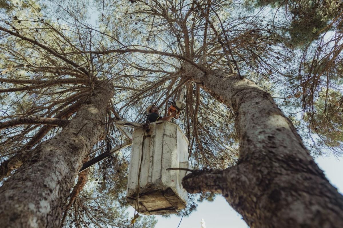 Rehabilitación integral de la entrada al Centro Histórico de Guadalupe.