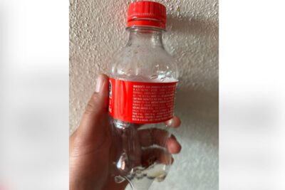 Instituto de Ecología y Medio Ambiente finaliza rexitosamente colecta de plasticos