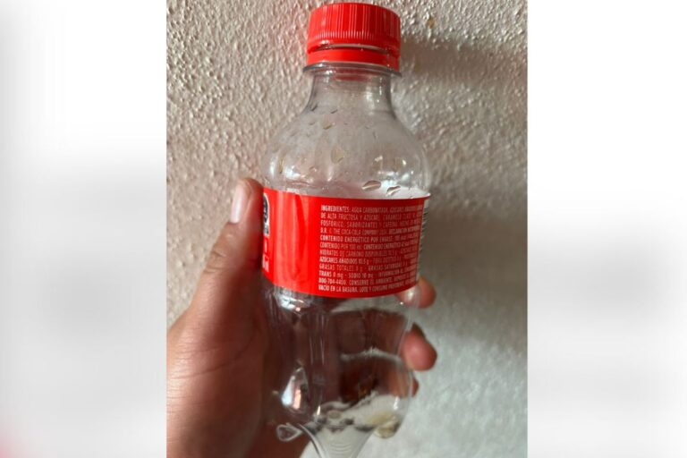 Instituto de Ecología y Medio Ambiente finaliza rexitosamente colecta de plasticos