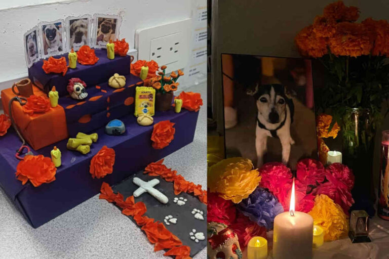 Día de Muertos 2025: ¿Cuándo se pone el altar para mascotas?