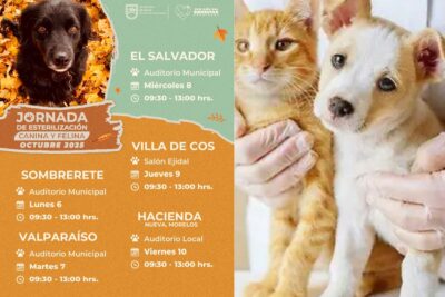 Secretaría de Salud ofrecerá esterilizaciones gratuitas de mascotas en cinco municipios de Zacatecas