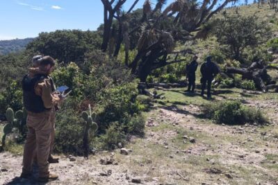 Ubican a persona reportada como no localizada; ya está en su domicilio