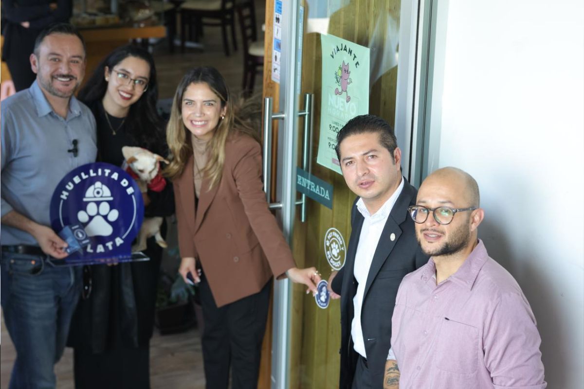 Zacatecas impulsa la campaña “Huellitas de Plata” para fortalecer el turismo pet friendly en la capital